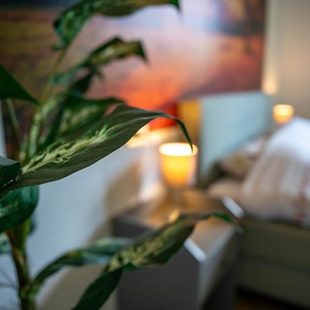 Molino Sant'Anna Casa Bironゲストハウス エクステリア 写真