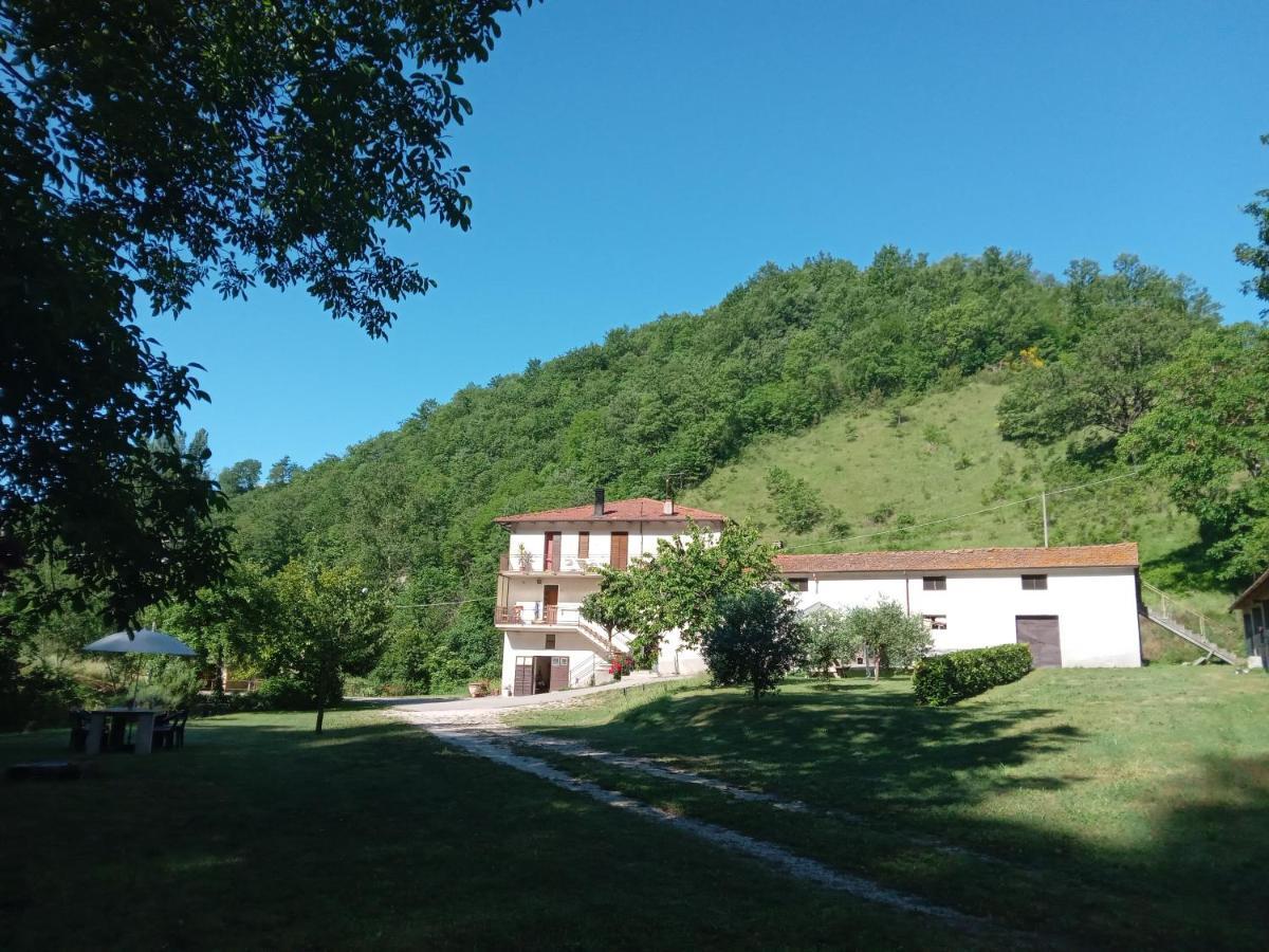 Molino Sant'Anna Casa Bironゲストハウス エクステリア 写真