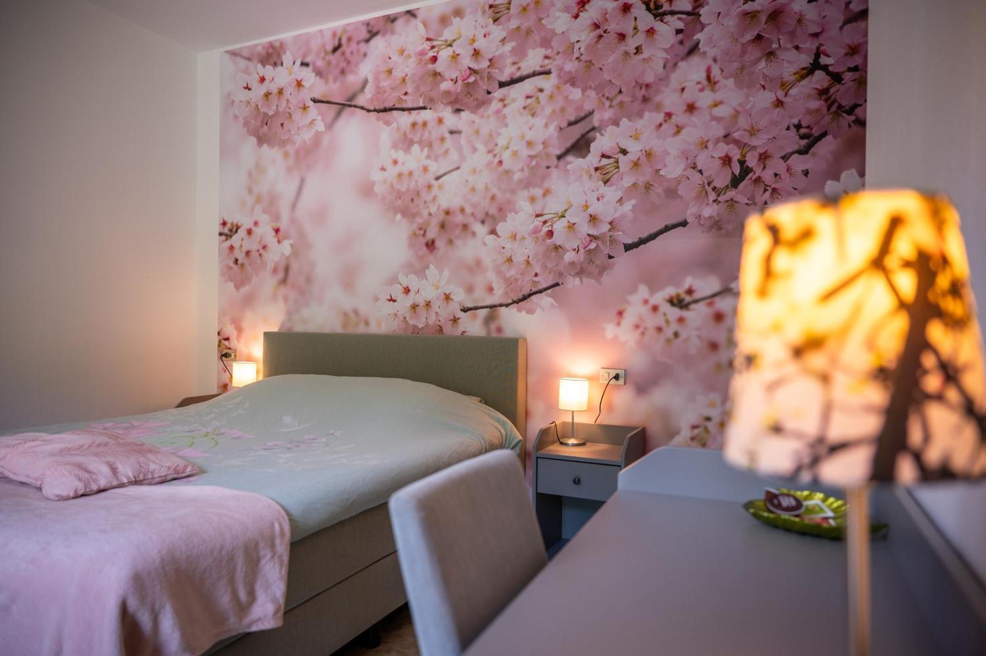 Molino Sant'Anna Casa Bironゲストハウス エクステリア 写真